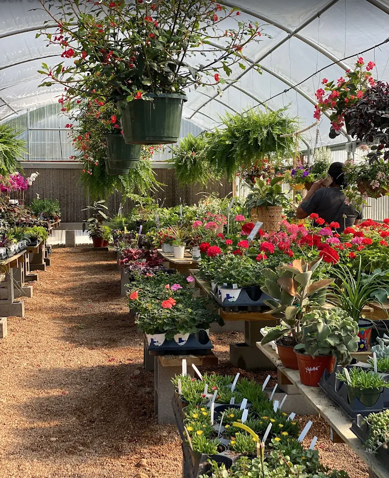 Bellflower Garden Center, Bellville, Texas